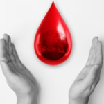donor darah