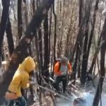 Kebakaran gunung kawi